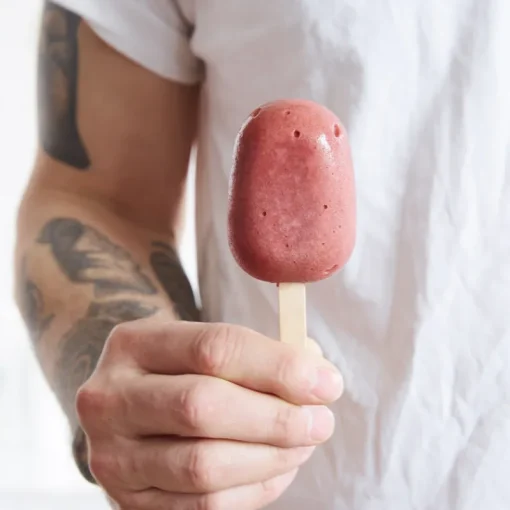 Guy Demarle Moules À Glaces|Accessoires*Bâtonnets de glace en bois - Petit format