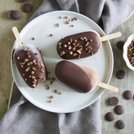 Guy Demarle Moules À Glaces|Accessoires*Bâtonnets de glace en bois - Grand format