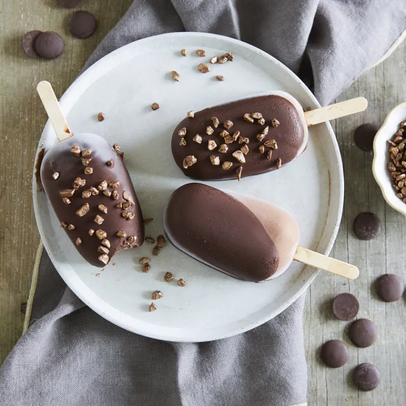 Guy Demarle Moules À Glaces|Accessoires*Bâtonnets de glace en bois - Grand format