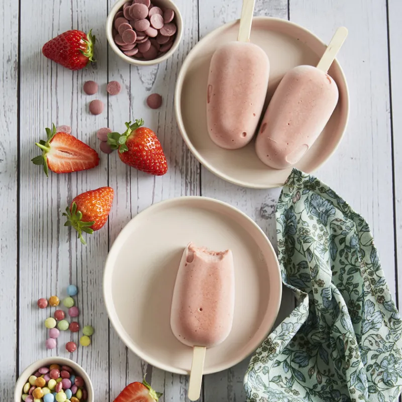 Guy Demarle Moules À Glaces|Accessoires*Bâtonnets de glace en bois - Grand format