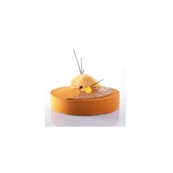 Guy Demarle Praliné Noisette|Chocolats Et Pralinés*Cara Crakine 1 kg