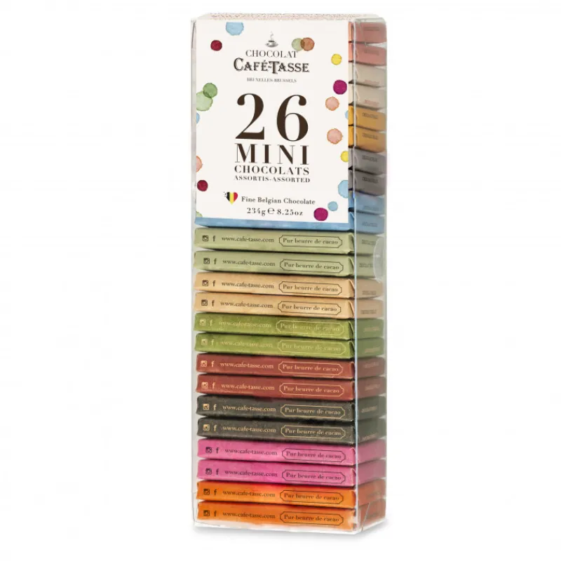 Guy Demarle Chocolats Individuels|Chocolats Et Pralinés*Coffret 26 mini tablettes - 13 goûts 234g