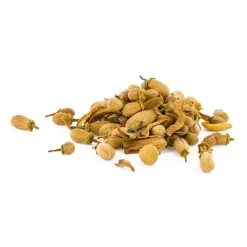 Guy Demarle Produits Bio|Fleurs Comestibles*Fleurs à croquer bio Fleurs d’Oranger, 15g