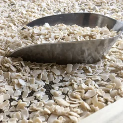 Guy Demarle Produits Bio|Pâtes À Pain Et Levures*Levain biologique 100% naturel en paillettes 50g