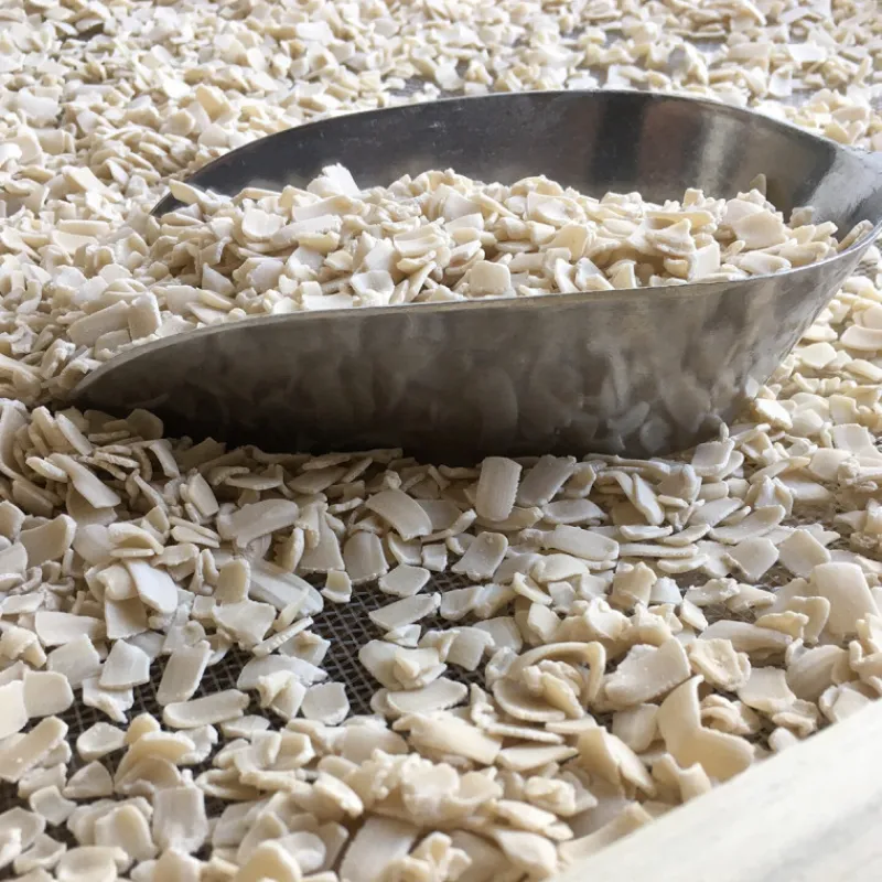 Guy Demarle Produits Bio|Pâtes À Pain Et Levures*Levain biologique 100% naturel en paillettes 50g