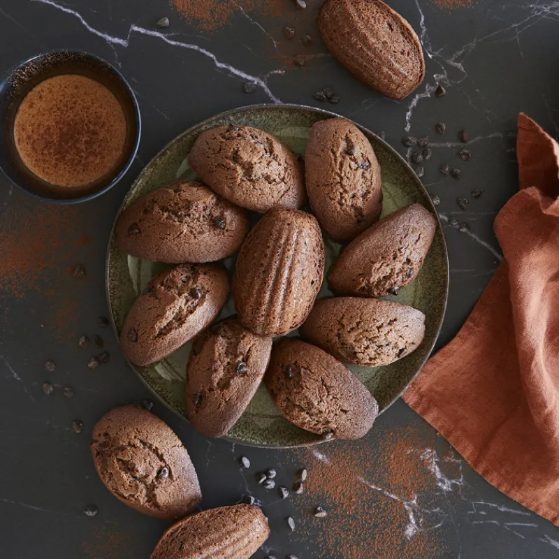 Guy Demarle Moules Multi-Empreintes*Moule 20 Madeleines OHRA®