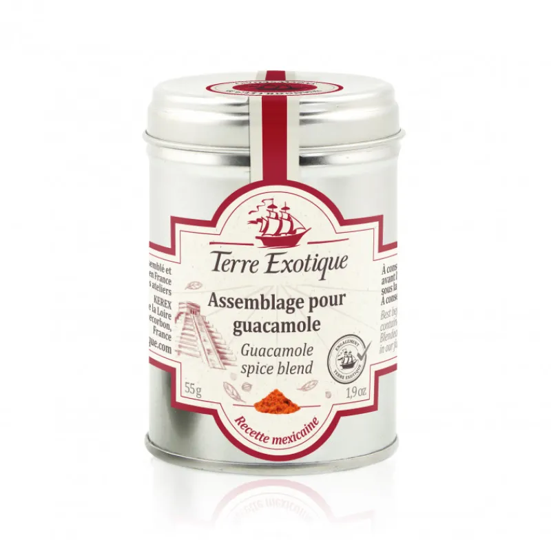 Guy Demarle Épices Et Condiments*Épices pour guacamole, 55 g