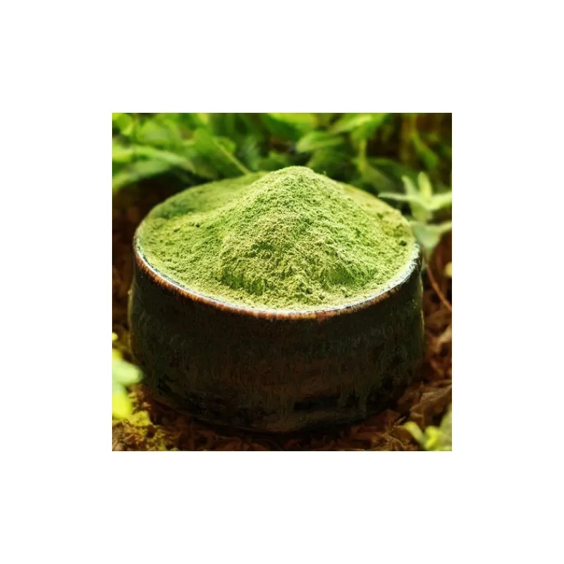 Guy Demarle Produits Bio|Arômes Et Extraits*Poudre de thé vert Matcha bio 50g