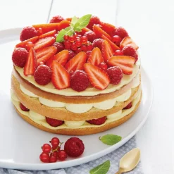 Guy Demarle Préparations À Gateaux|Ingrédients Techniques*Préparation génoise facile