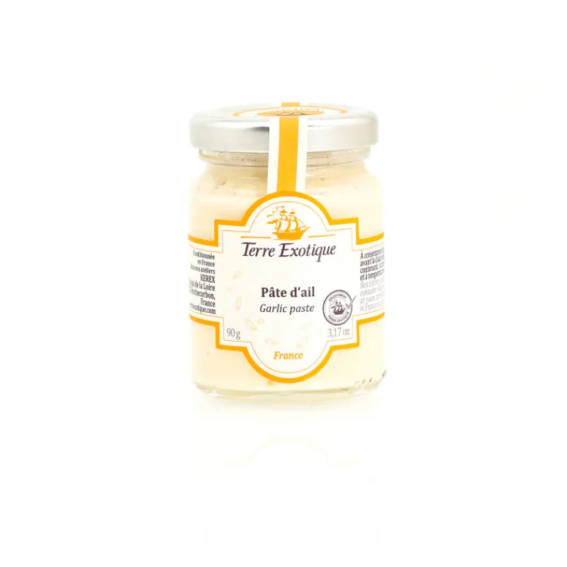 Guy Demarle Épices Et Condiments*Pâte d'ail 90 g