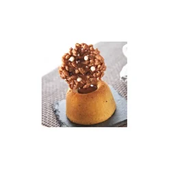 Guy Demarle Praliné Noisette|Pâtes Et Coulis Sucrés*Pâte de praliné noisettes 250 g