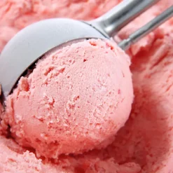 Guy Demarle Stabilisateur De Glaces|Ingrédients Techniques*Stabilisateur de glaces 125 gr