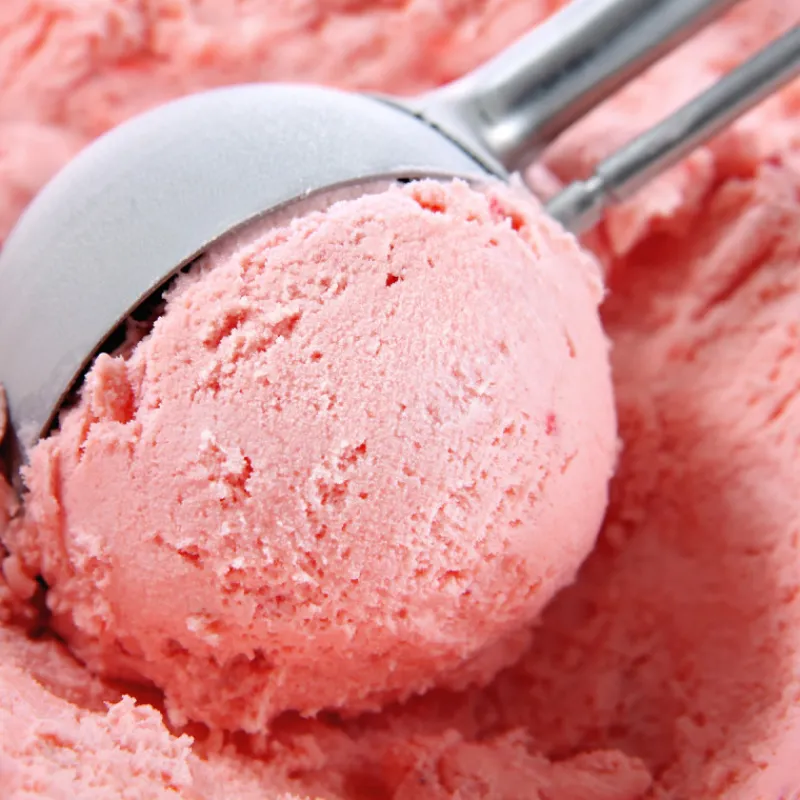 Guy Demarle Stabilisateur De Glaces|Ingrédients Techniques*Stabilisateur de glaces 125 gr